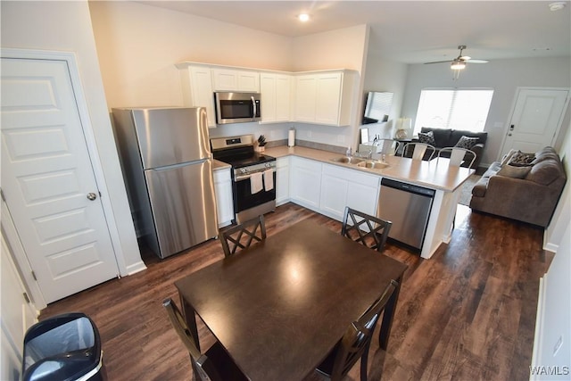 kitchen with white cabinets, stainless steel appliances, and dark hardwood / wood-style floors