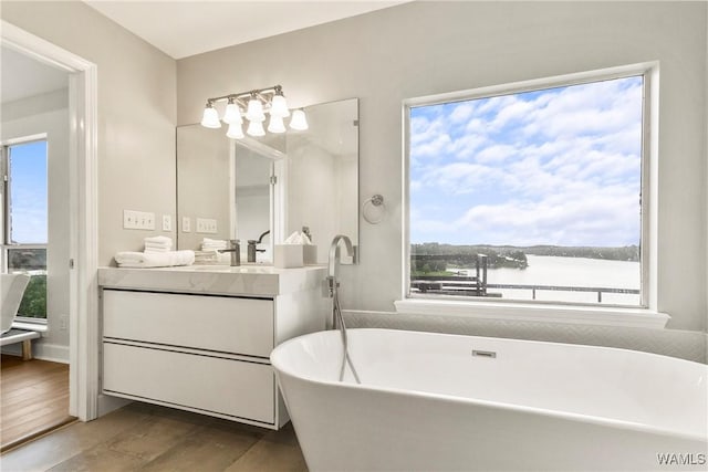 bathroom with hardwood / wood-style flooring, vanity, and a healthy amount of sunlight