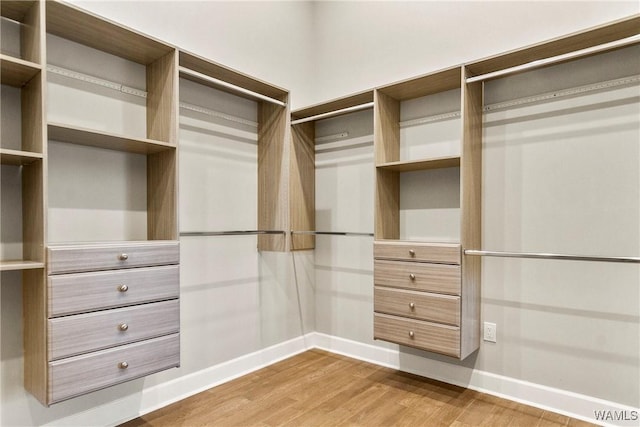 walk in closet with hardwood / wood-style flooring