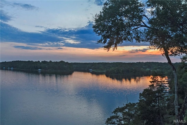 property view of water