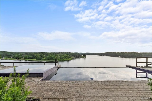 dock area with a water view