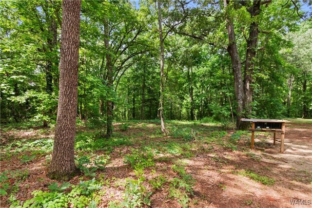 133 Castlewood Dr, Greensboro, AL 36744 - photo 28