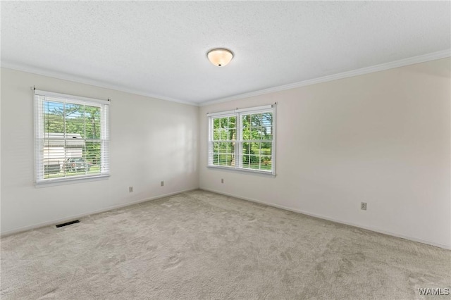 13609 Apple Ln, Northport, AL 35475 - photo 12