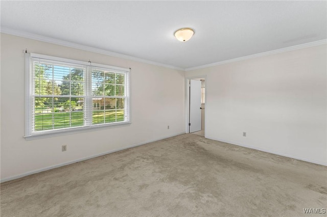 13609 Apple Ln, Northport, AL 35475 - photo 13