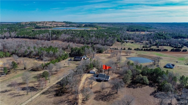 drone / aerial view featuring a water view and a view of trees