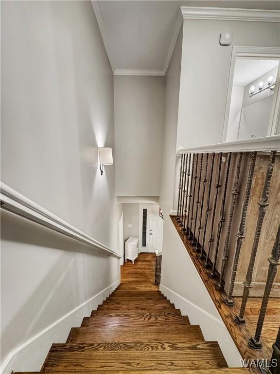 staircase featuring ornamental molding and wood-type flooring