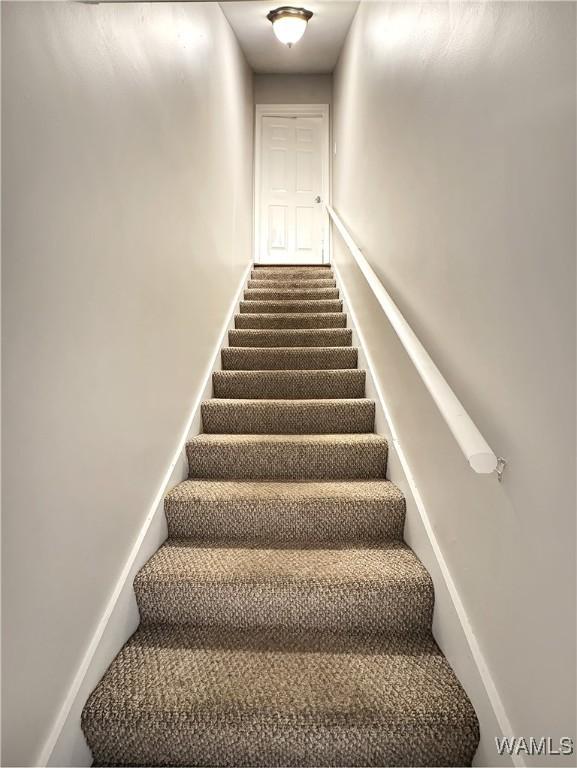 stairs with carpet