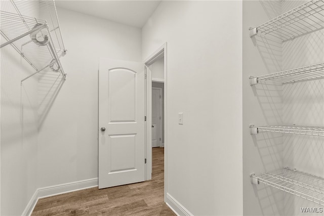 walk in closet with hardwood / wood-style flooring