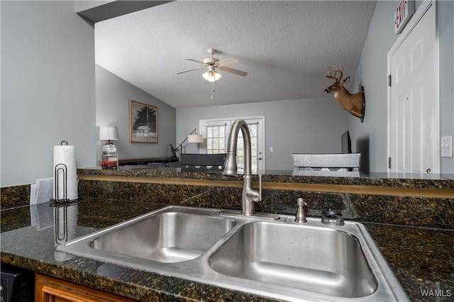 room details with a textured ceiling, ceiling fan, and a sink