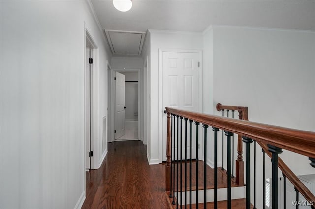 4410 Nicholas Ave, Northport, AL 35473 - corridor with attic access, wood finished floors, crown molding, and an upstairs landing