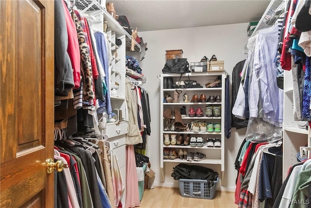 spacious closet featuring light wood-type flooring