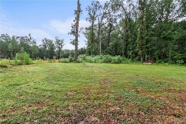 16246 Holly Springs Rd, Northport, AL 35475 - photo 38
