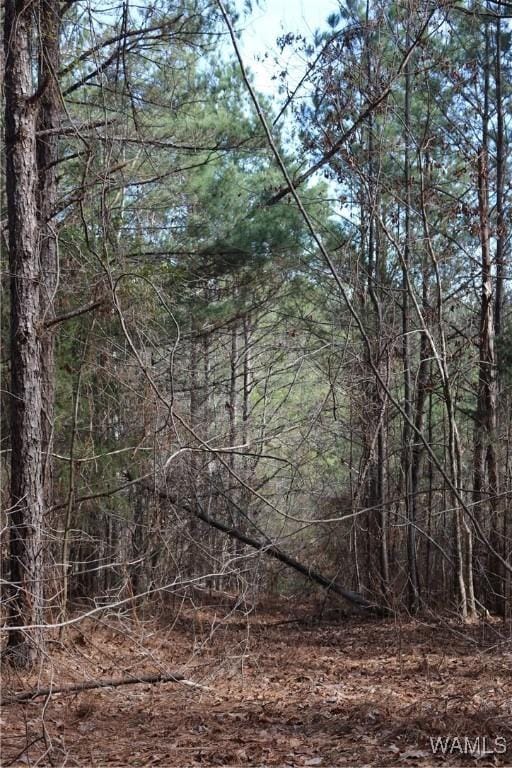 16717 Graham Rd, Berry, AL 35546