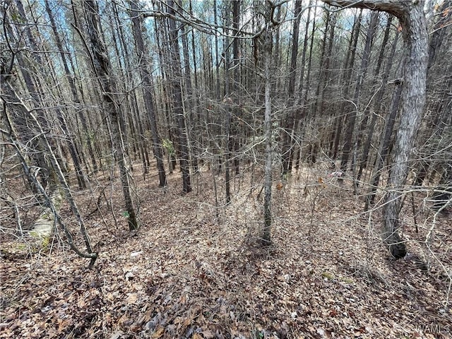 16717 Graham Rd, Berry, AL 35546