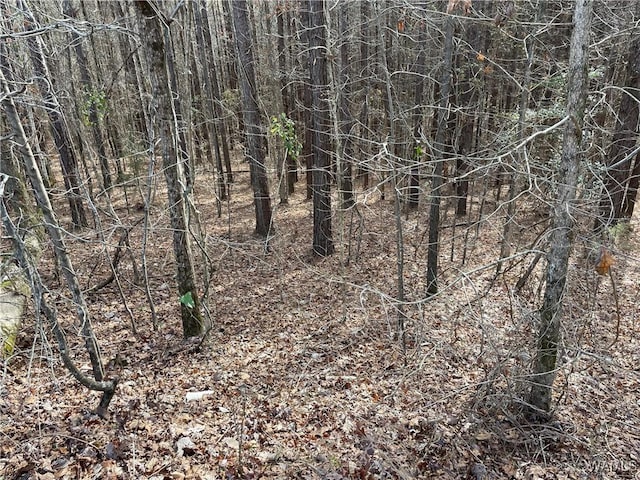16717 Graham Rd, Berry, AL 35546