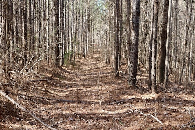 16717 Graham Rd, Berry, AL 35546