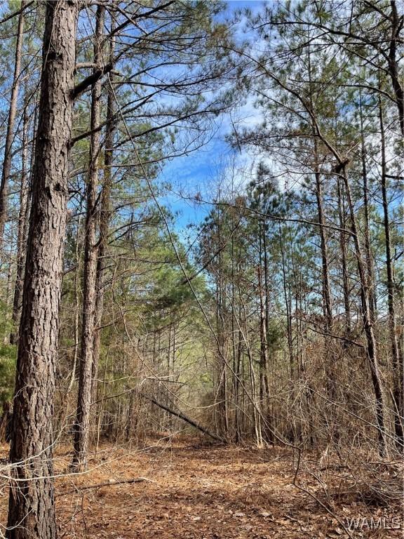 16717 Graham Rd, Berry, AL 35546