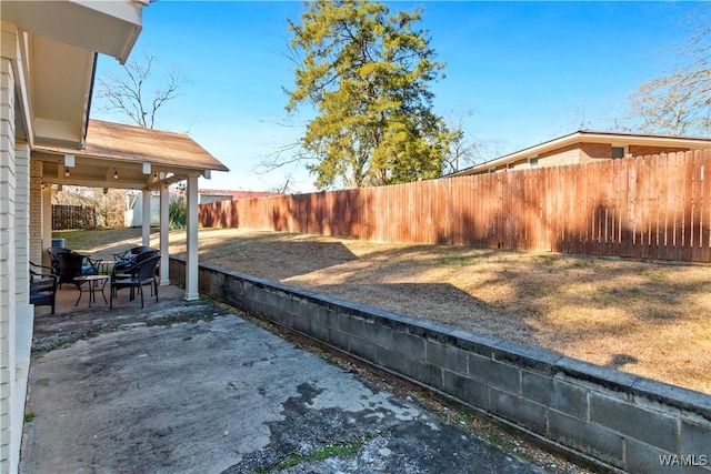 view of yard featuring a patio area