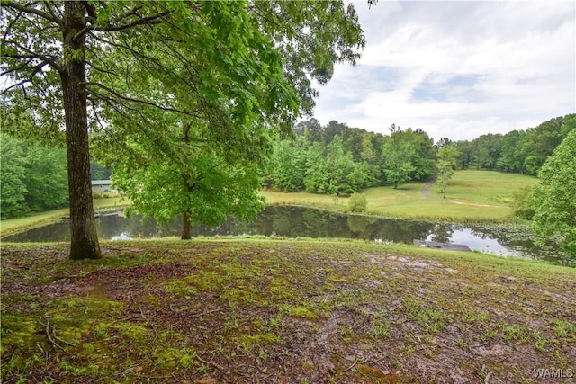 6905 Clements Foley Rd, Northport, AL 35473 - photo 40