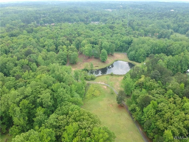 6905 Clements Foley Rd, Northport, AL 35473 - photo 43