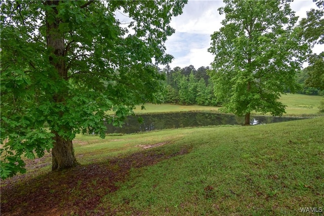 6905 Clements Foley Rd, Northport, AL 35473 - photo 42