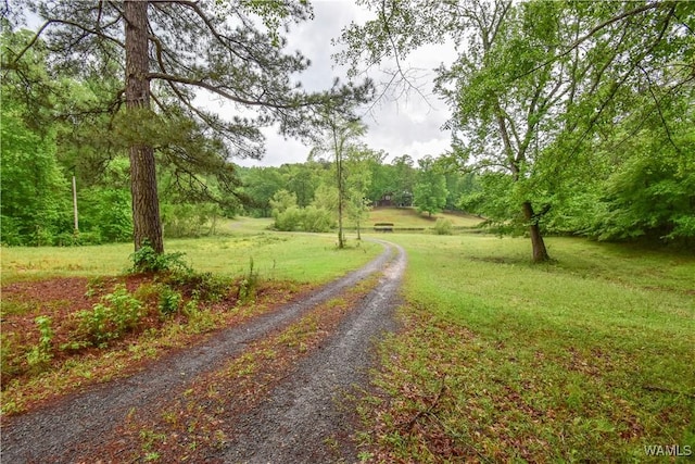6905 Clements Foley Rd, Northport, AL 35473 - photo 41
