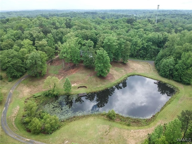 6905 Clements Foley Rd, Northport, AL 35473 - photo 44