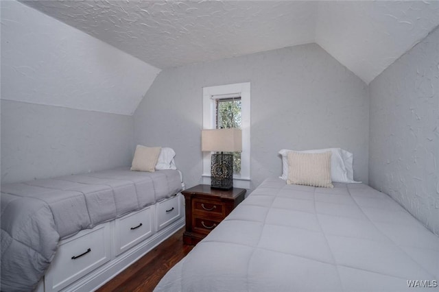 11 Audubon Pl, Tuscaloosa, AL 35401 - bedroom with lofted ceiling, dark wood-type flooring, a textured ceiling, and a textured wall