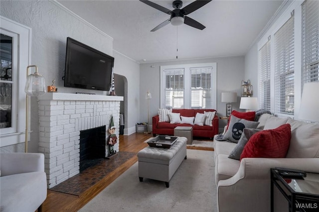 11 Audubon Pl, Tuscaloosa, AL 35401 - living room with ornamental molding, a healthy amount of sunlight, and wood finished floors