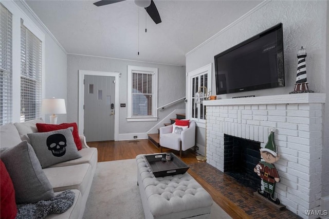 11 Audubon Pl, Tuscaloosa, AL 35401 - living room featuring ceiling fan, ornamental molding, a fireplace, and wood finished floors