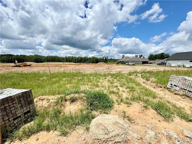 13754 Black Oak Dr, Northport, AL 35475 - photo 26