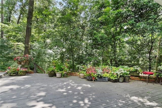 8 Sherwood Dr, Tuscaloosa, AL 35401 - photo 43
