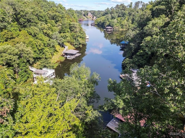6821 Jade Pt, Tuscaloosa, AL 35406 - aerial overview of property's location featuring a nearby body of water and a forest