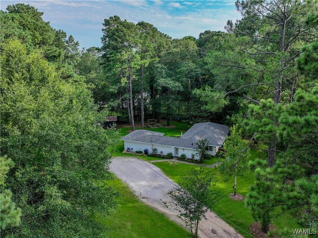 4402 Lakeshore Dr, Northport, AL 35473 - view of subject property with a heavily wooded area