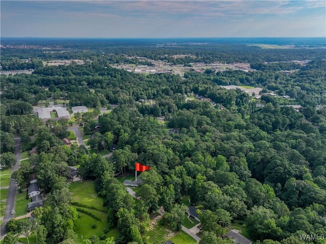 4402 Lakeshore Dr, Northport, AL 35473 - bird's eye view of a forest