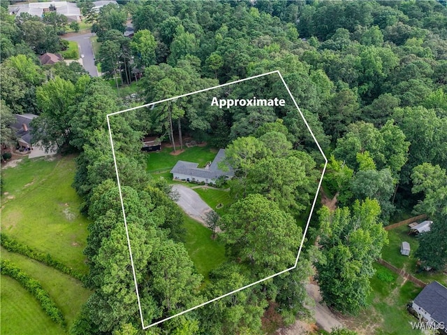 4402 Lakeshore Dr, Northport, AL 35473 - view of property location featuring property parcel outlined and a heavily wooded area