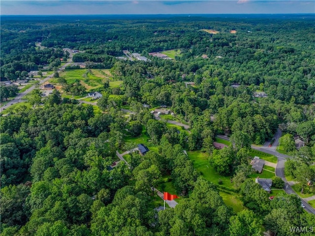 4402 Lakeshore Dr, Northport, AL 35473 - view of property location featuring a heavily wooded area