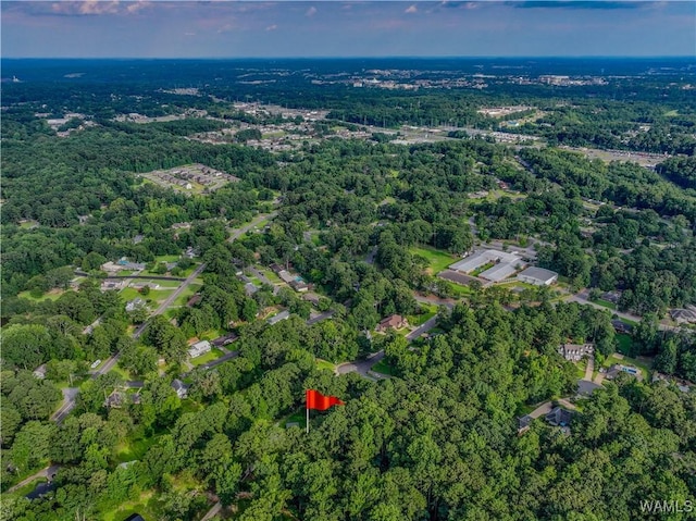 4402 Lakeshore Dr, Northport, AL 35473 - view of property location with a forest