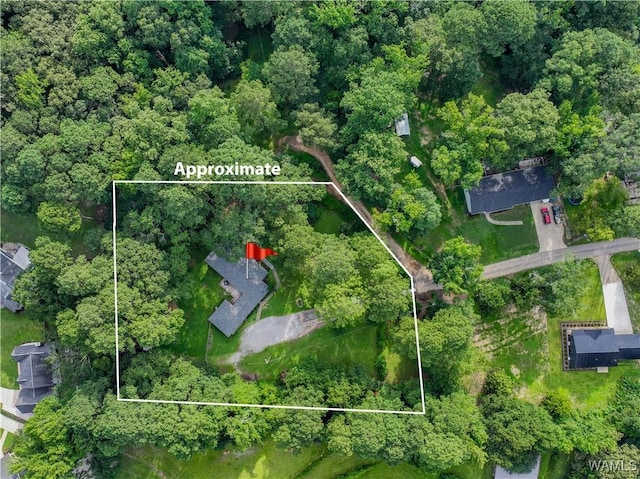 4402 Lakeshore Dr, Northport, AL 35473 - aerial view of property's location with property boundaries highlighted