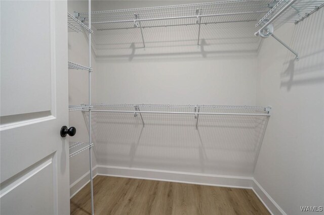 13713 Blackoak Dr, Northport, AL 35475 - spacious closet with wood finished floors