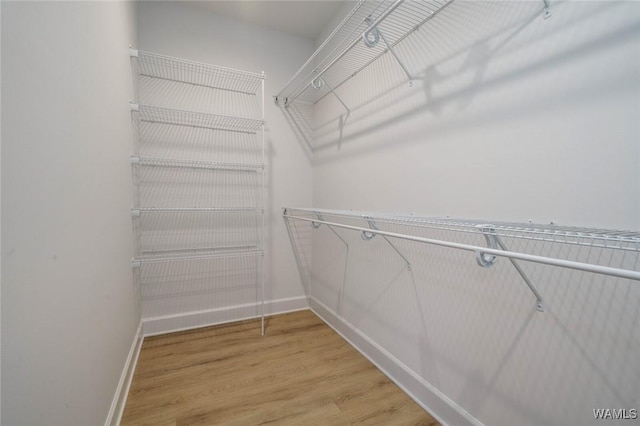 13713 Blackoak Dr, Northport, AL 35475 - spacious closet featuring light wood-style flooring