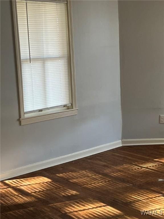 spare room featuring hardwood / wood-style flooring