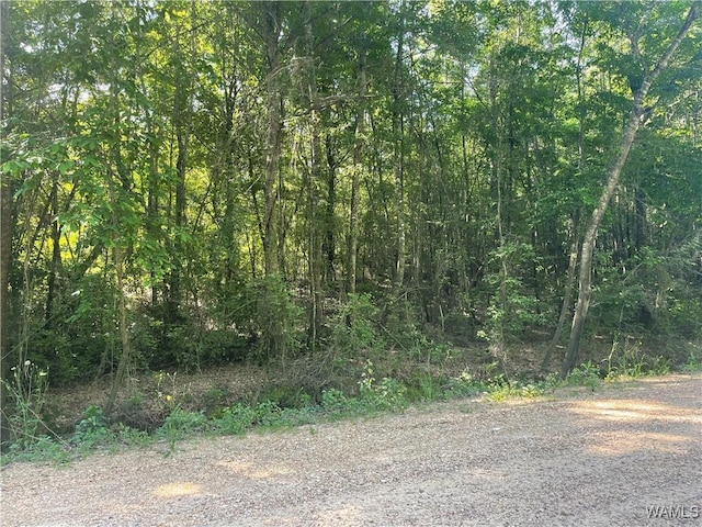 0 Backbone Church Rd, Elrod, AL 35466