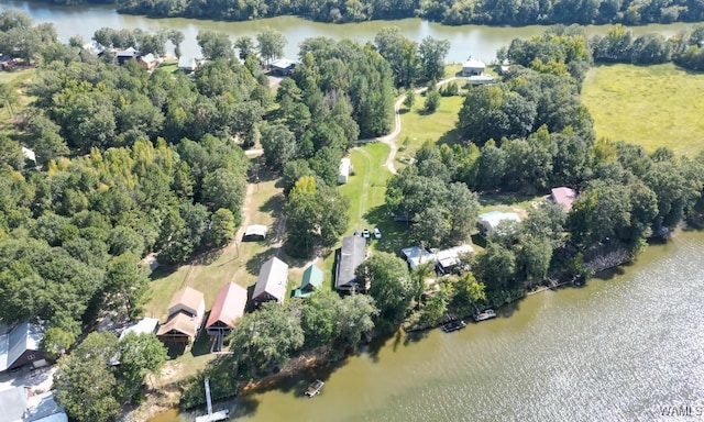 aerial view featuring a water view and a forest view