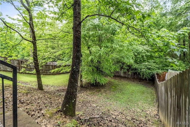 view of yard featuring a fenced backyard