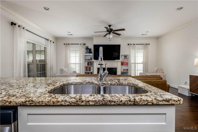 kitchen with dark wood finished floors, plenty of natural light, open floor plan, and light stone counters