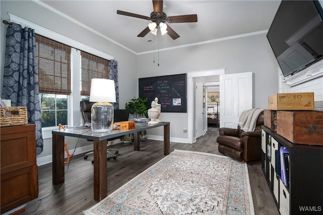 office space featuring dark wood-type flooring, ornamental molding, and ceiling fan