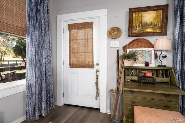 entryway with dark hardwood / wood-style floors