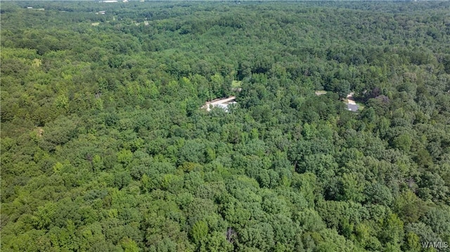 14161 Marley Rd, Tuscaloosa, AL 35453 - photo 15