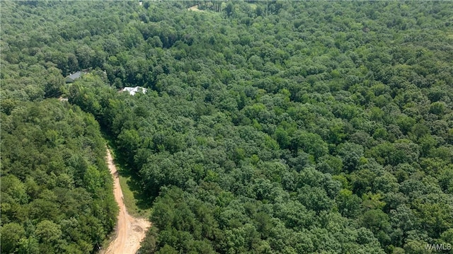 14161 Marley Rd, Tuscaloosa, AL 35453 - photo 12
